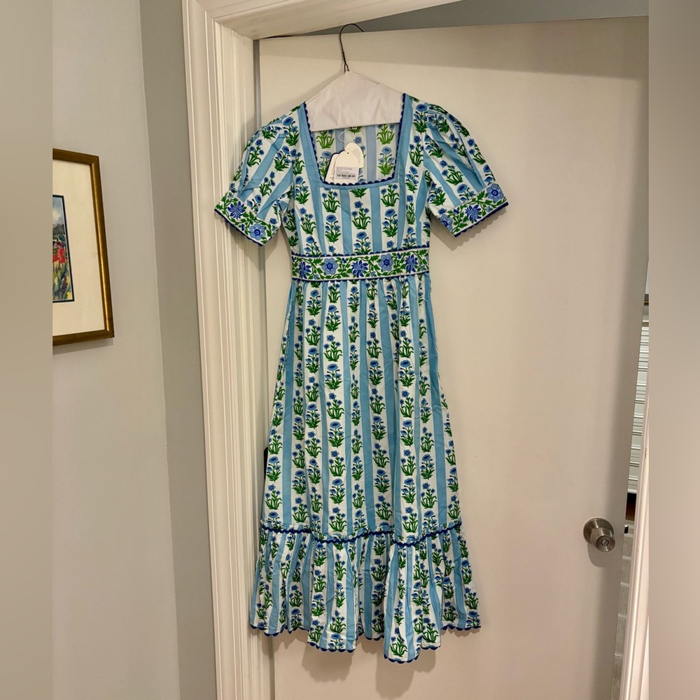 Pink City Prints Sky Lily Stripe Evelyn Dress - Picture 4 of 8